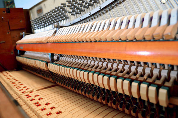 Close-up of piano hammers and dampers